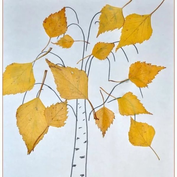 Аппликация дерево из листьев