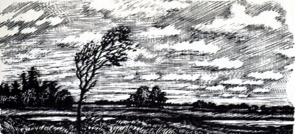 Рисунок к стихотворению тучи