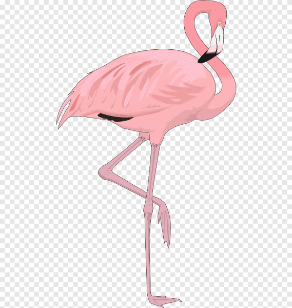 Фламинго мультяшный