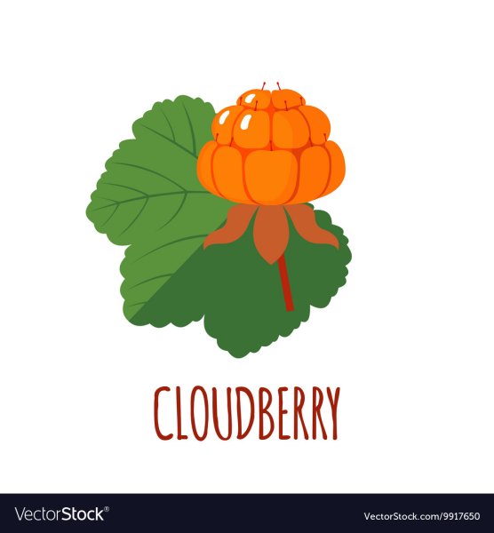 Морошка стилизованная