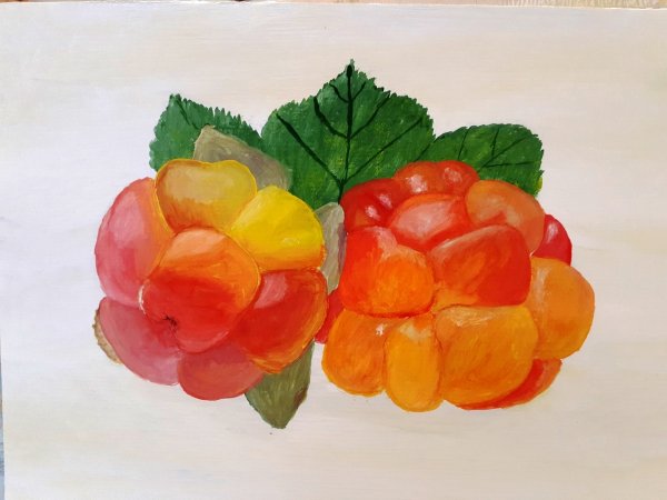 Ушаков Морошка