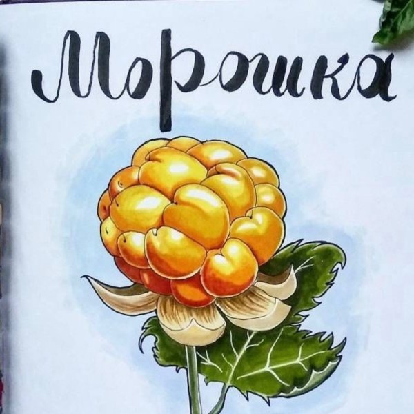 Морошка мультяшная