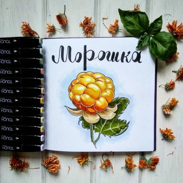 Морошка скетч