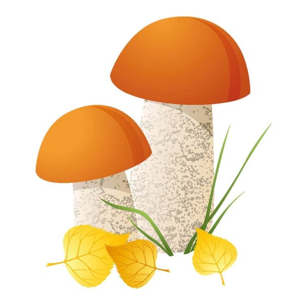 Грибы клипарт