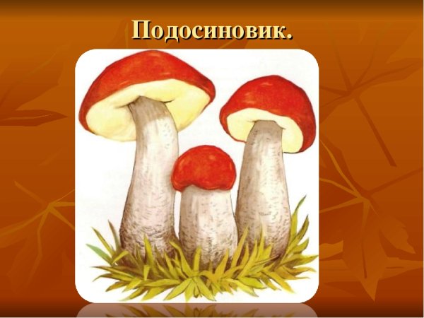 Рисование подосиновик