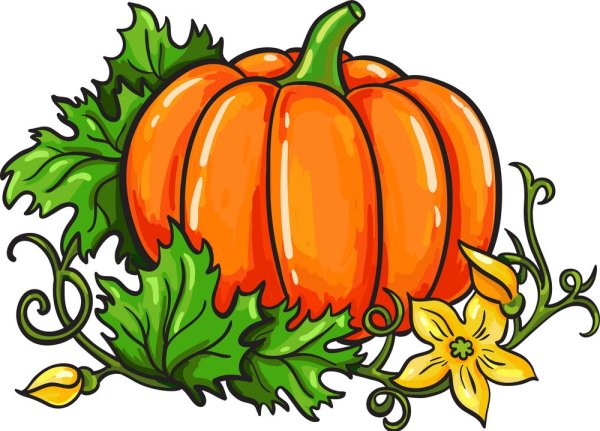 Тыква для детей