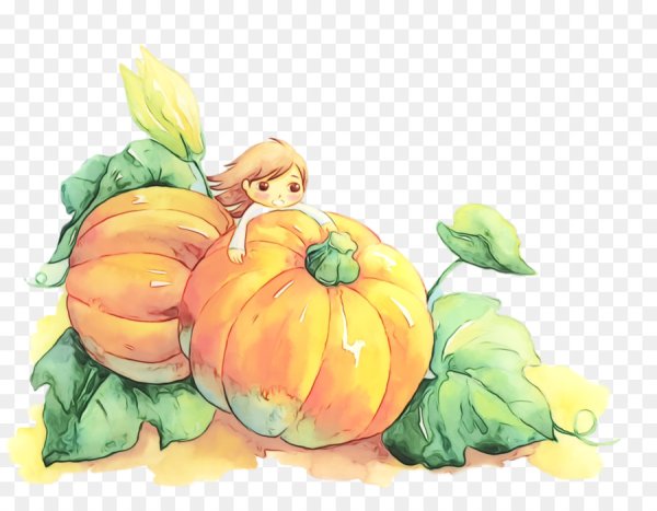 Тыковки красивые иллюстрации