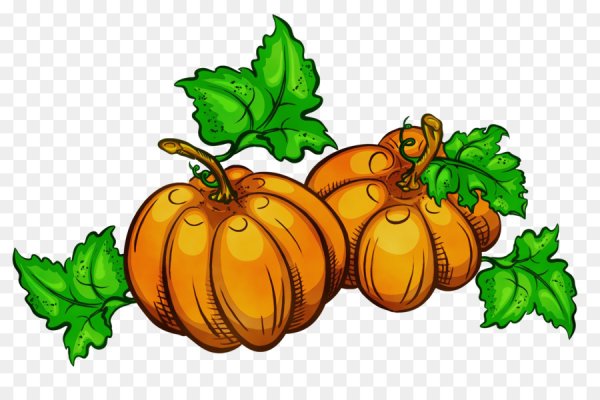 Тыква на прозрачном фоне