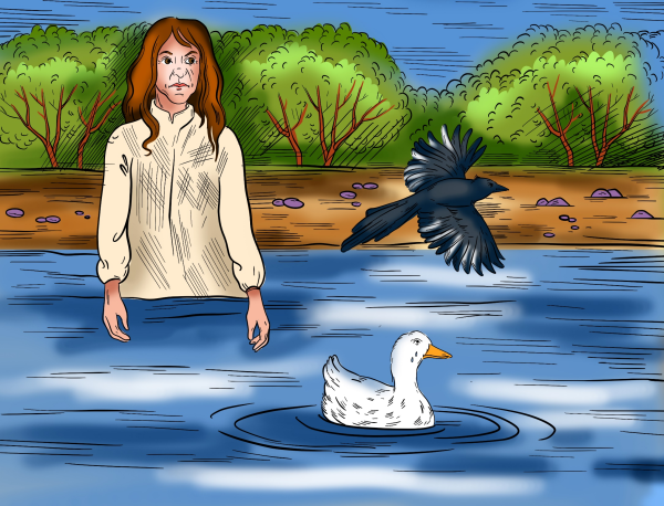 Иллюстрация к сказке белая уточка