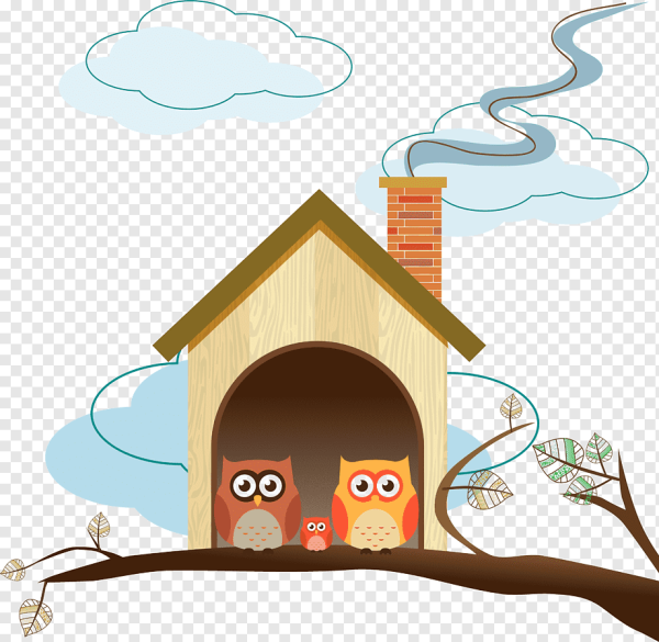 Король Кинг Совиный дом арт