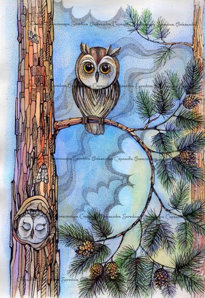 Совиный дом сычик мультсериал