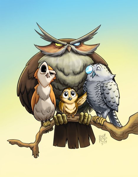 Сумасшедшая Сова