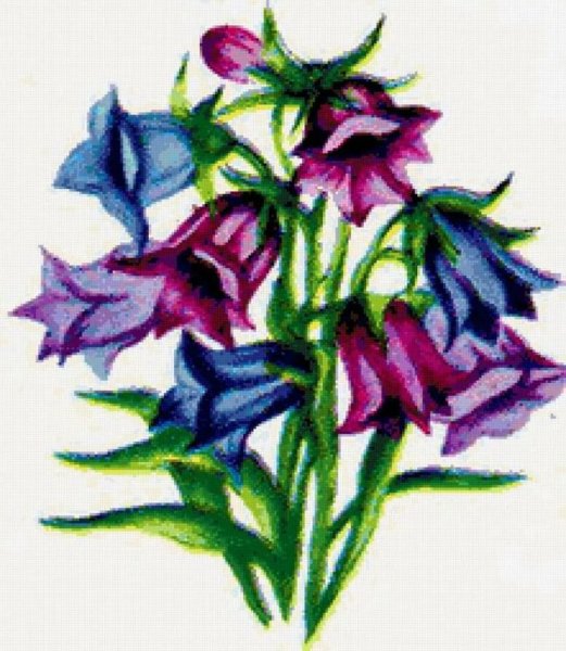 Колокольчик рисунок