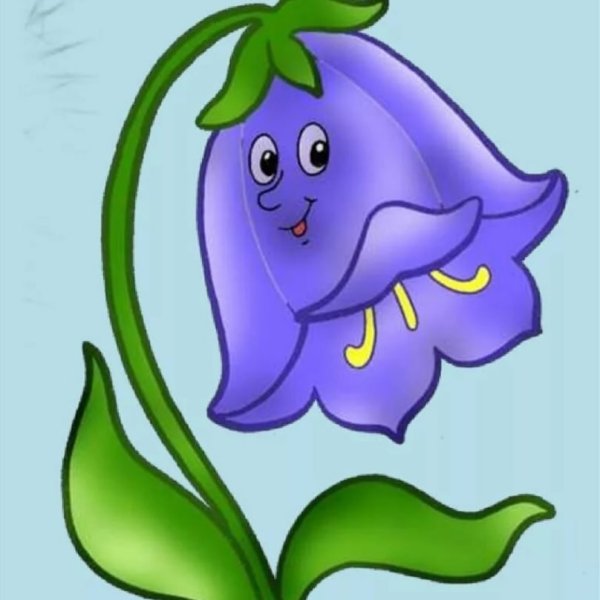 Колокольчик персиколистный раскраска