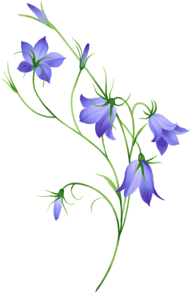 Колокольчик "цветы"