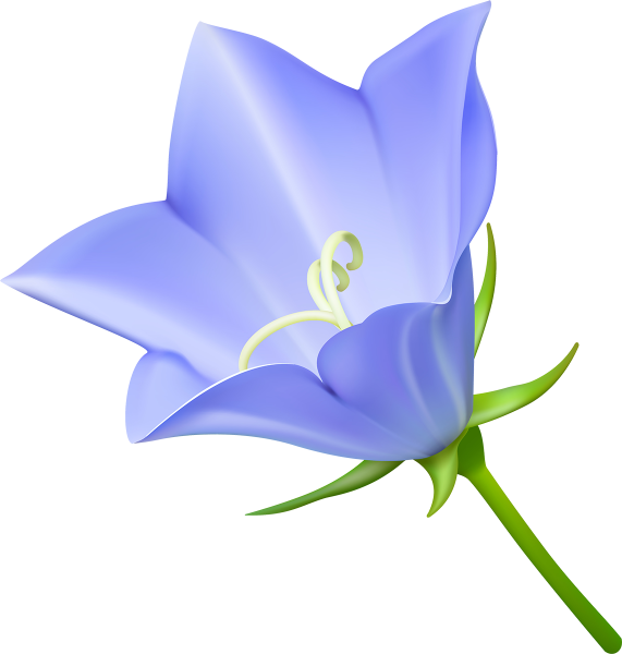 Колокольчик картинка для детей