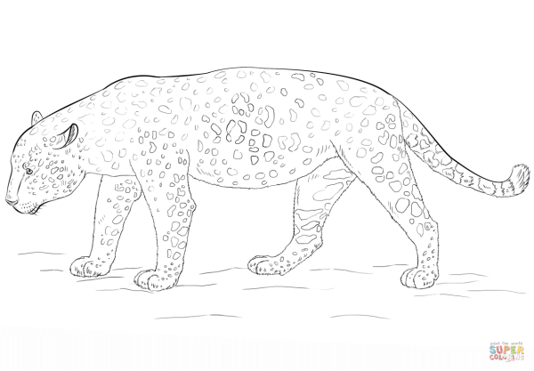Раскраска. Ягуар