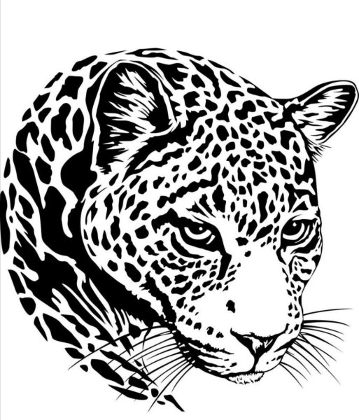 Леопард трафарет