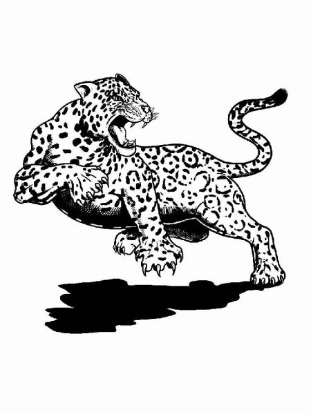 Ягуар тату эскизы