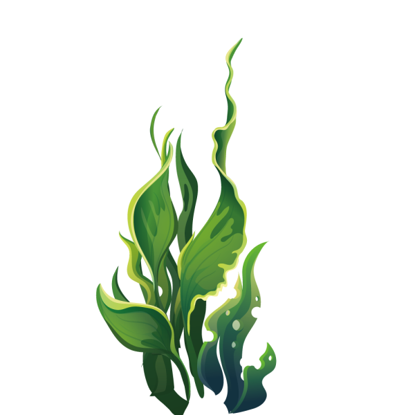 Стилизованные водоросли