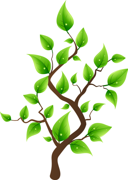 Листочки деревьев