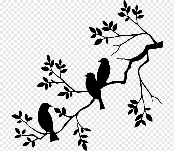 Силуэт птицы на ветке