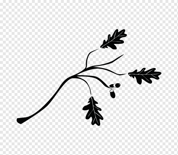 Веточка с листьями