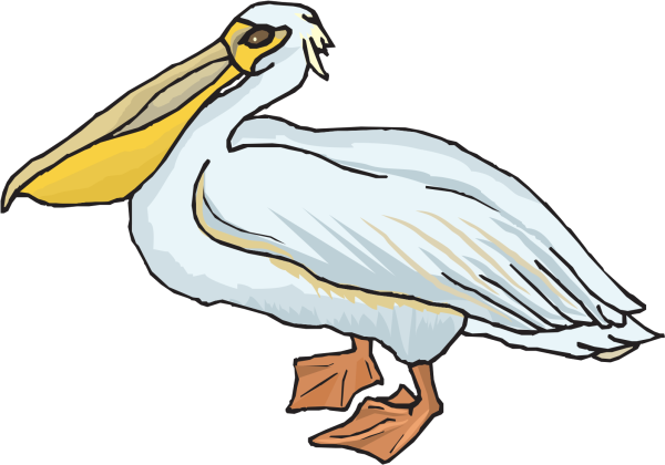 Пеликан для детей на прозрачном фоне