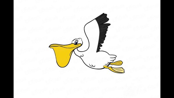 Нарисовать пеликана