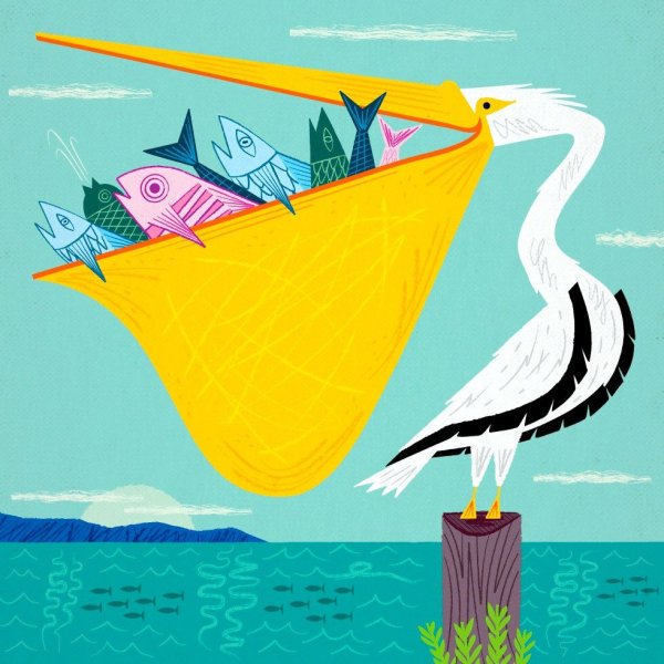 Пеликан детский рисунок