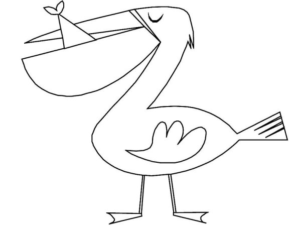 Нарисовать пеликана
