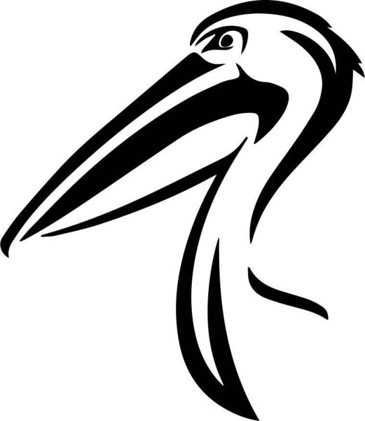 Контуры животных птиц для детей