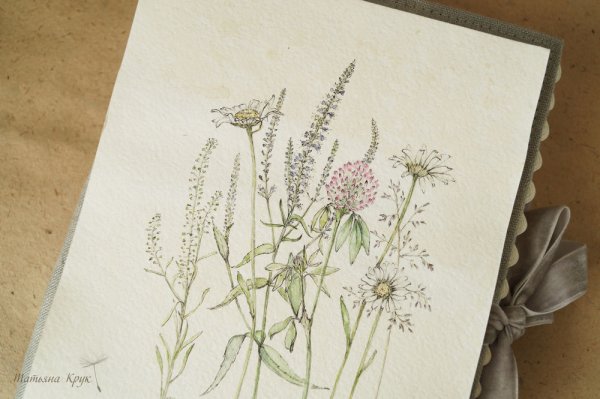 Гербарий Графика