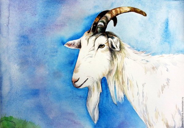 Козёл карикатура