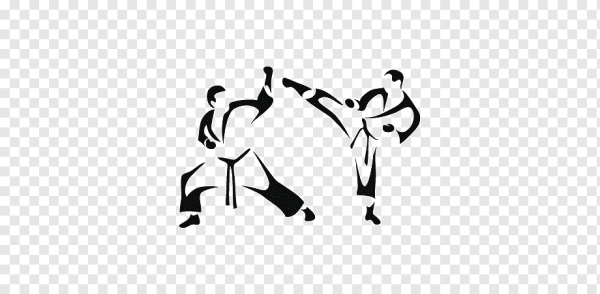 Тхэквондо ИТФ вектор