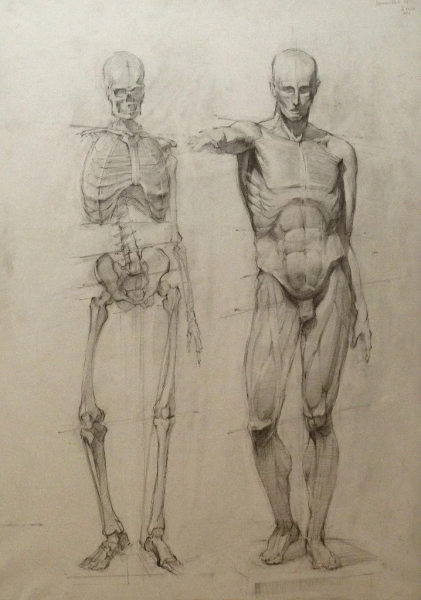 Скелет Экорше Гудона