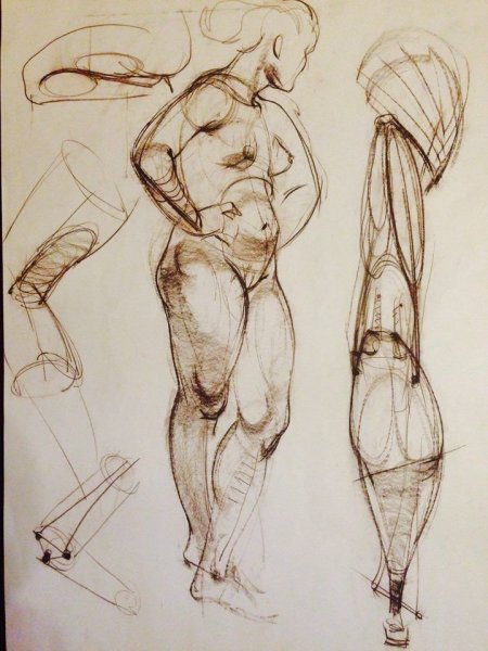 Пластическая анатомия Рыжкин