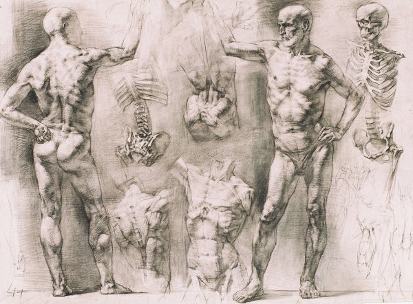 Академии художеств им. Репина анатомия