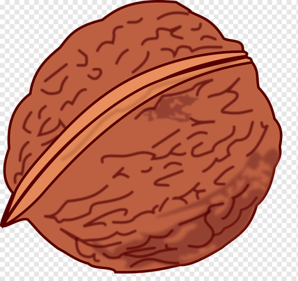 Грецкий орех акварель