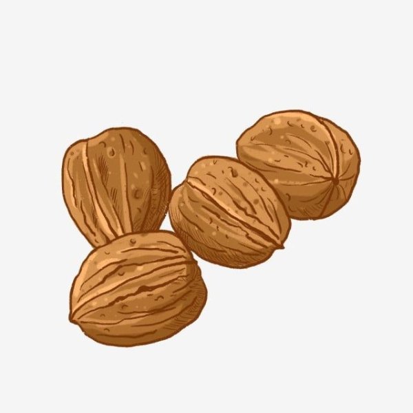 Орех грецкий гербарий