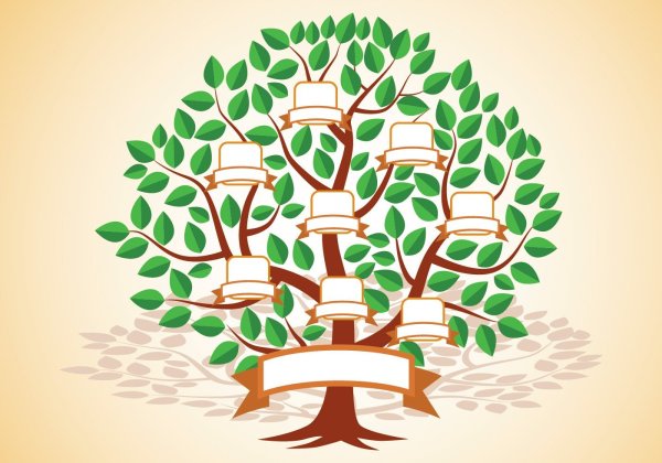 Родословная генеалогическое Древо Шежере