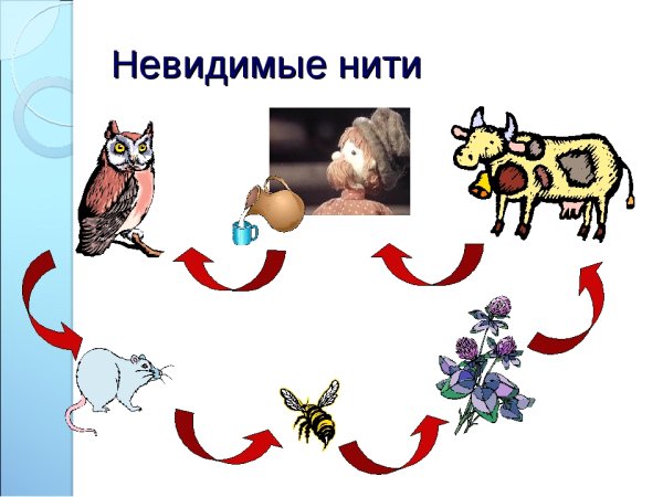 Невидимые нити окружающий мир