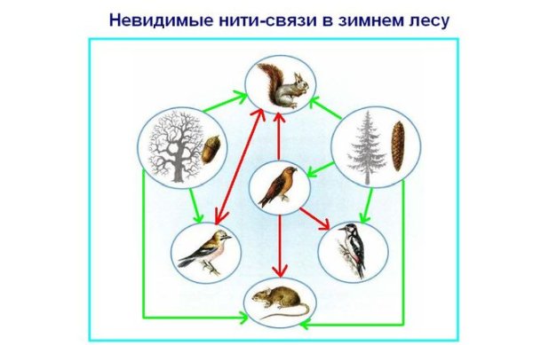 Невидимые нити схема