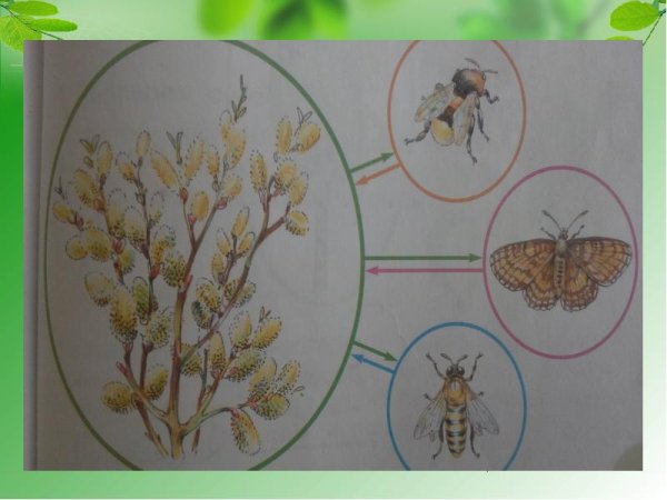 Невидимые нити схема