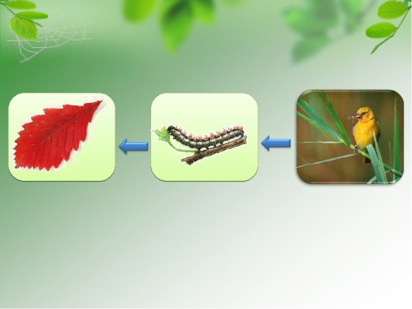 Невидимая нить