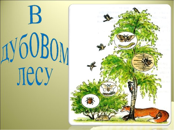 Связи невидимые нити схемы