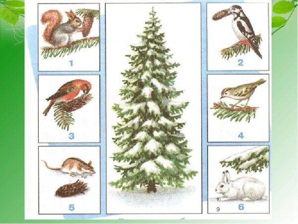 Невидимые нити в зимнем лесу