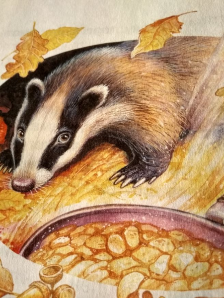 Барсук детский рисунок