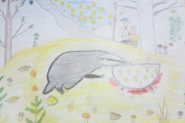 Константин Паустовский барсучий нос