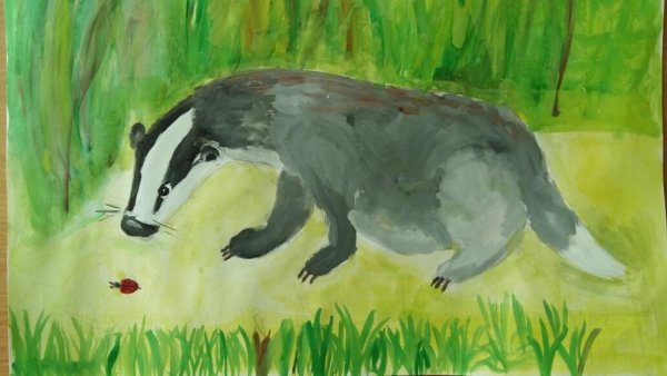 Иллюстрация к сказке Паустовского барсучий нос